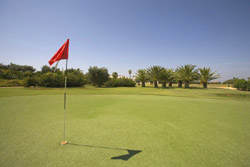 Resorts Disio - Marsala: Golf court